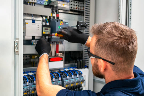 Best Ceiling Fan Installation Electrician  in Ridgway, CO