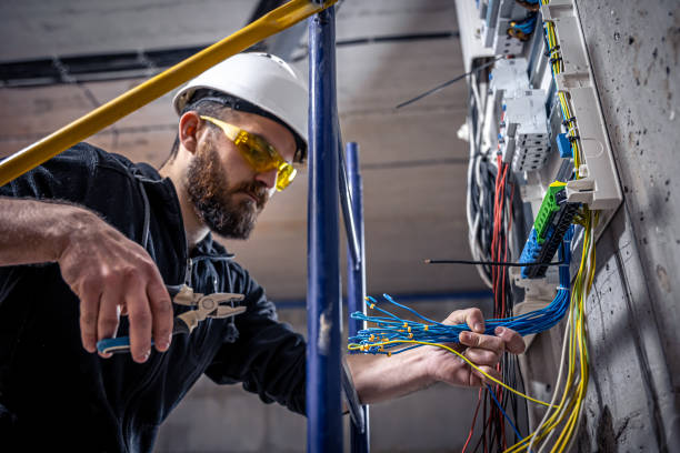 Best Circuit Breaker Repair  in Ridgway, CO